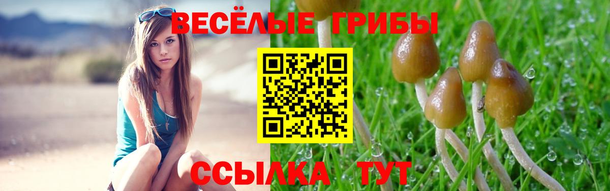 Петровск  Галлюциногенные грибы MAGIC MUSHROOMS  Псилоцибиновые грибы MAGIC MUSHROOMS  Вход с VPN 